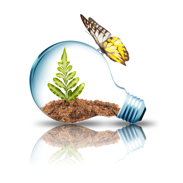 Fitness Training with Herbalife